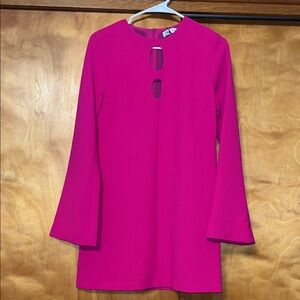 Zara Vibrant Pink Long Sleeve Dress